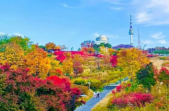 Dongyangjang Dongdaemun 2*