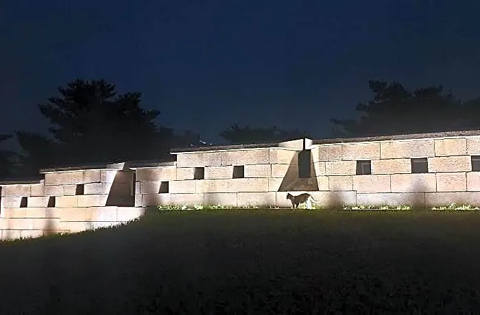 Dongyangjang Dongdaemun ホテル
